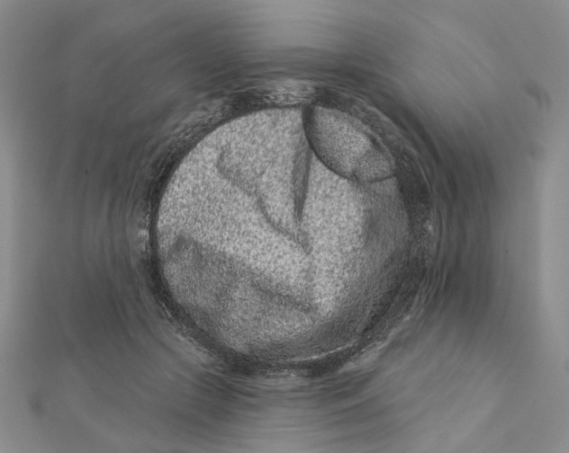 X0000112060553200909011004