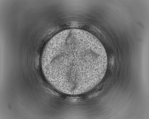 X0000112060554200909011004