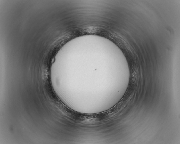 X0000112060555200909011004