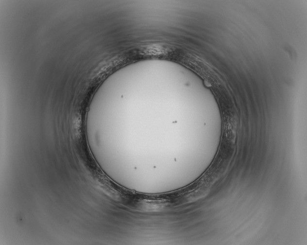 X0000112060556200909011004
