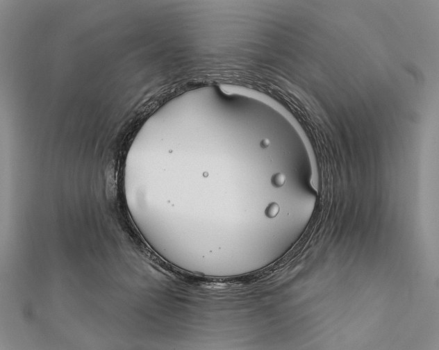 X0000112060558200909011004