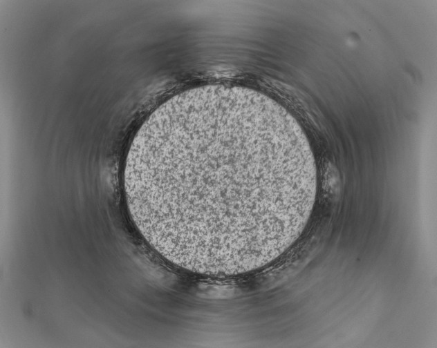 X0000112060559200909011004