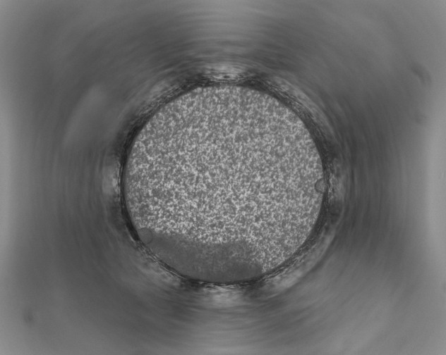 X0000112060561200909011005