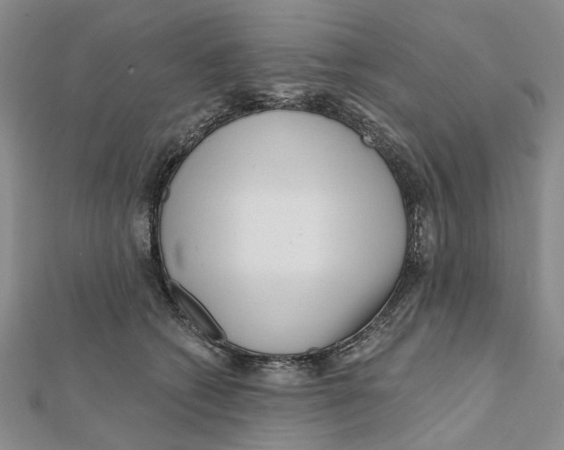 X0000112060562200909011005