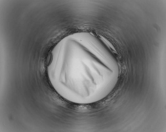 X0000112060566200909011005