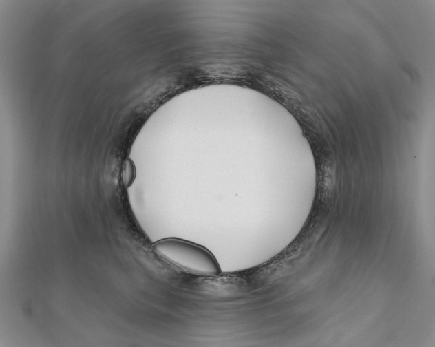 X0000112060567200909011005