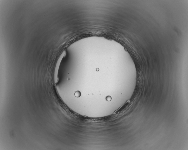 X0000112060568200909011005