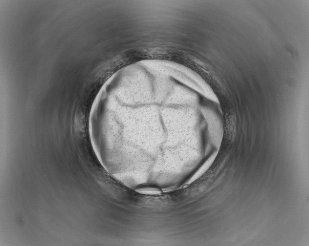 X0000112060571200909011005