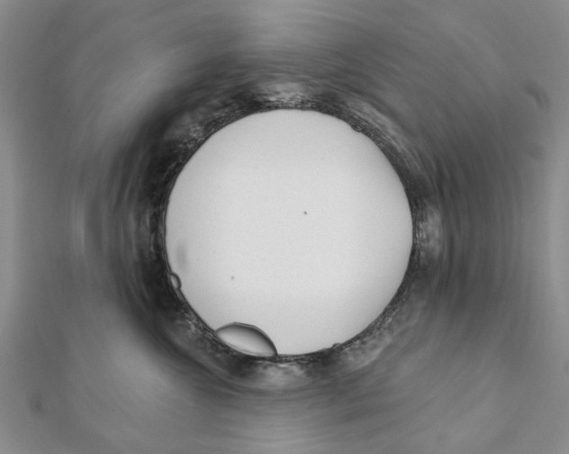 X0000112060572200909011005