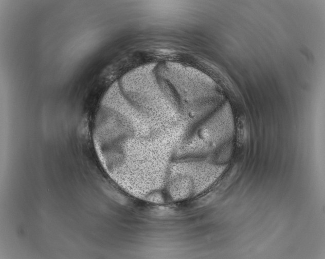X0000112060573200909011005
