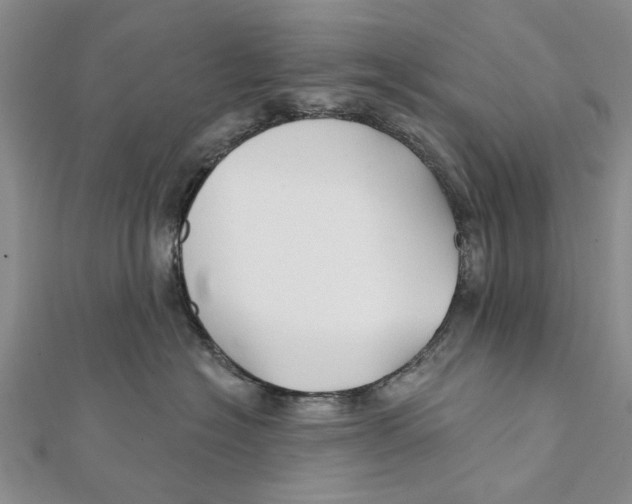 X0000112060574200909011005