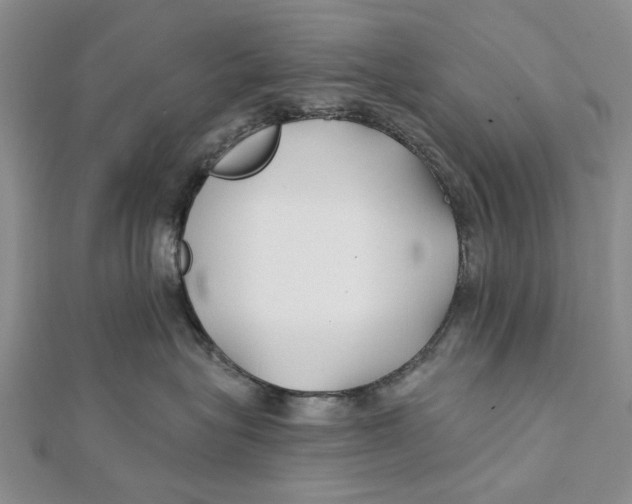 X0000112060575200909011005