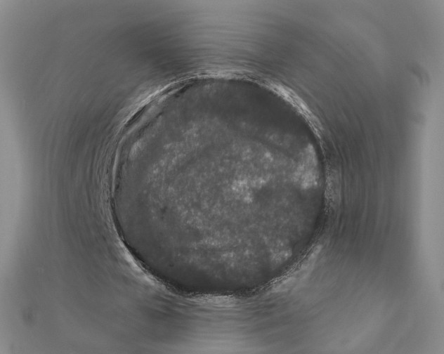 X0000112060577200909011004
