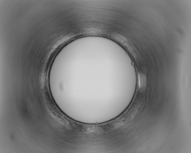 X0000112060579200909011004