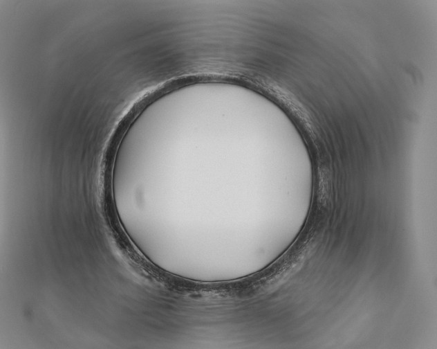 X0000112060580200909011004