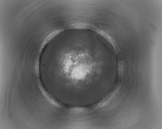X0000112060581200909011004