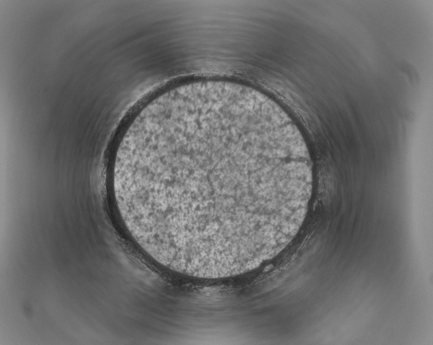 X0000112060584200909011004