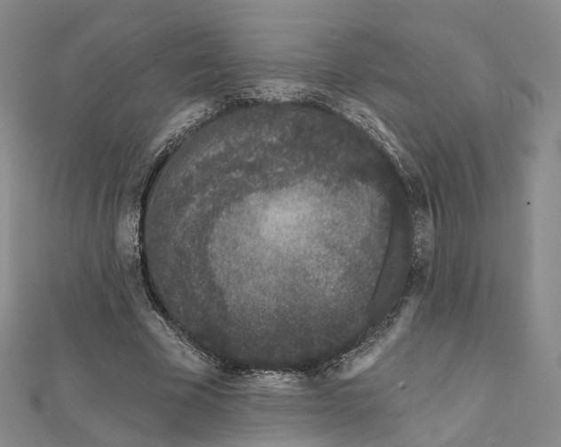 X0000112060585200909011004