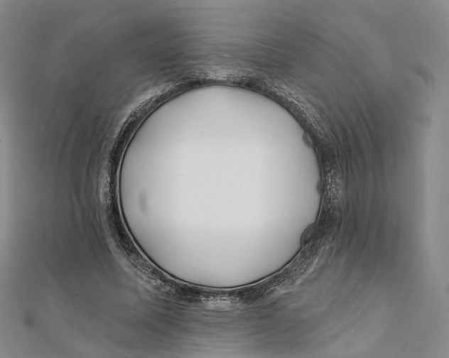 X0000112060587200909011004