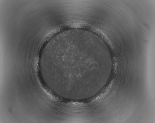 X0000112060590200909011004