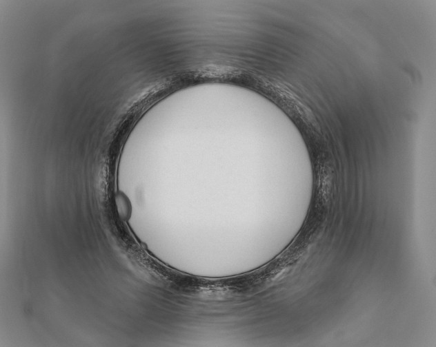 X0000112060591200909011004