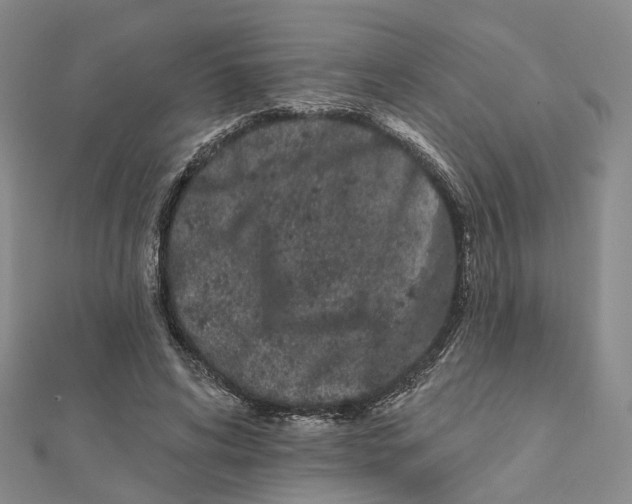 X0000112060592200909011004