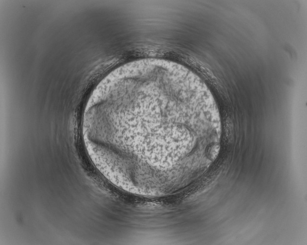X0000112060594200909011004