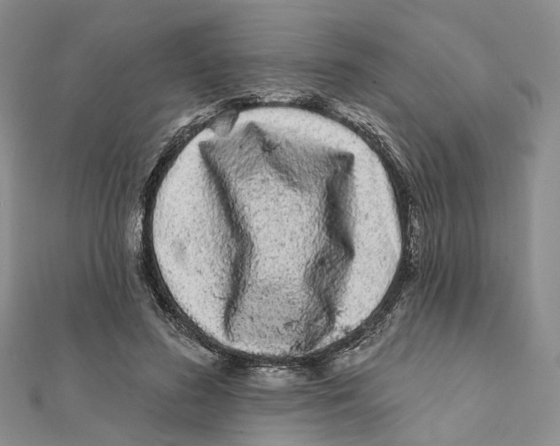 X0000112060596200909011004