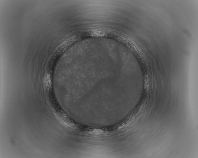 X0000112060598200909011004