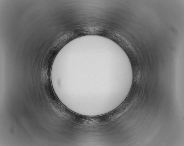 X0000112060599200909011004