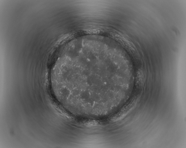 X0000112060600200909011004