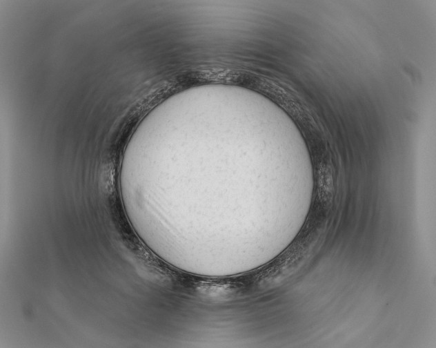 X0000112060602200909011004