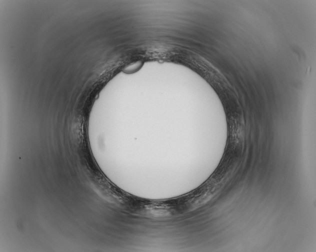 X0000112060603200909011004