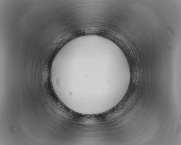 X0000112060604200909011004