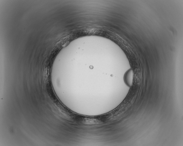 X0000112060605200909011004