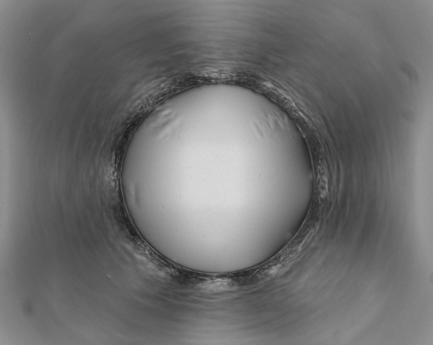 X0000112060609200909011004