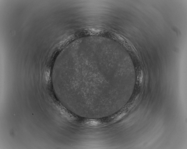 X0000112060610200909011004