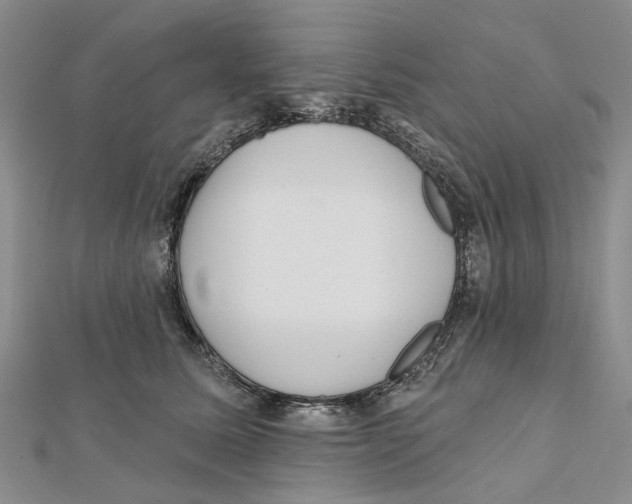 X0000112060611200909011004