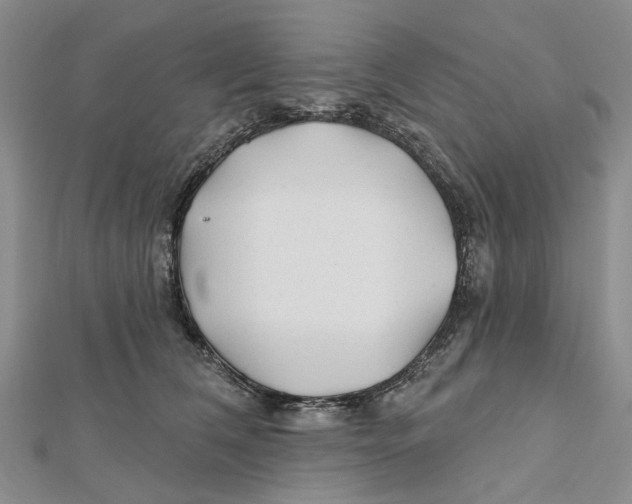 X0000112060612200909011004