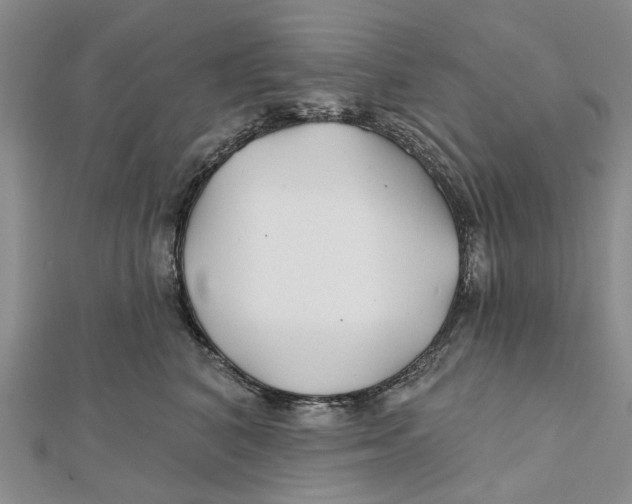 X0000112060616200909011004