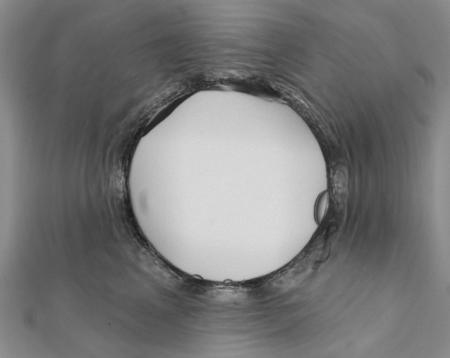 X0000112060617200909011004