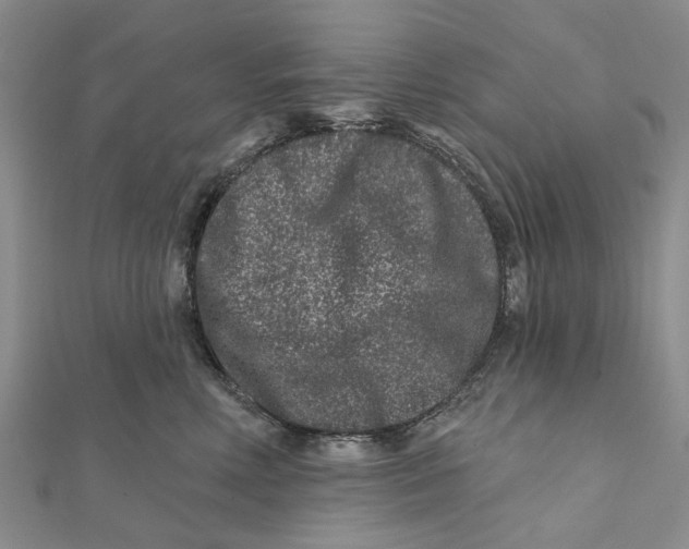 X0000112060618200909011004