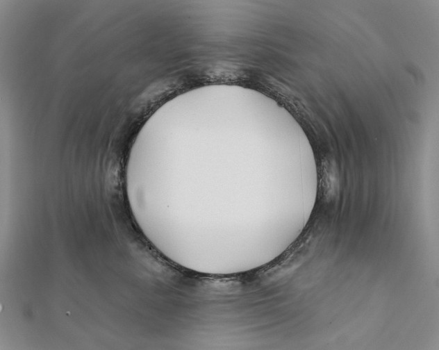 X0000112060619200909011004
