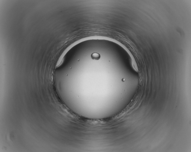 X0000112060621200909011004