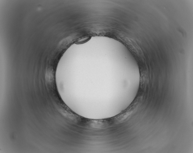 X0000112060623200909011004