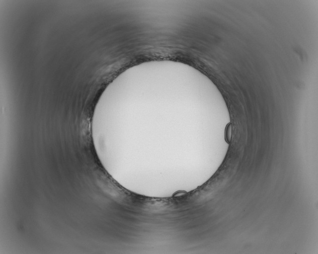 X0000112060624200909011003