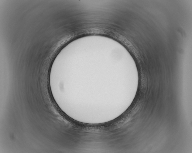 X0000112060625200909011003