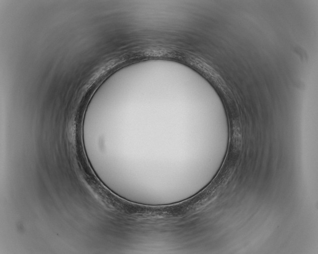 X0000112060626200909011003