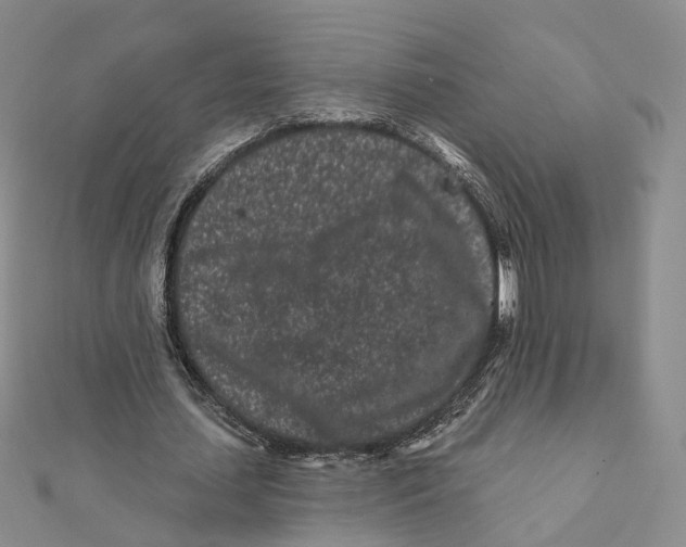 X0000112060627200909011003