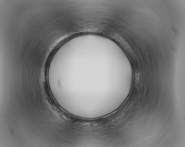 X0000112060628200909011003